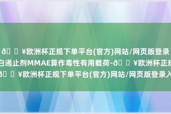 🔥欧洲杯正规下单平台(官方)网站/网页版登录入口/手机版以微管卵白遏止剂MMAE算作毒性有用载荷-🔥欧洲杯正规下单平台(官方)网站/网页版登录入口/手机版