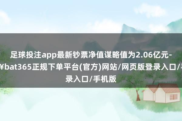 足球投注app最新钞票净值谋略值为2.06亿元-🔥bat365正规下单平台(官方)网站/网页版登录入口/手机版