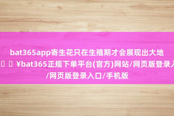 bat365app寄生花只在生殖期才会展现出大地上的部分-🔥bat365正规下单平台(官方)网站/网页版登录入口/手机版