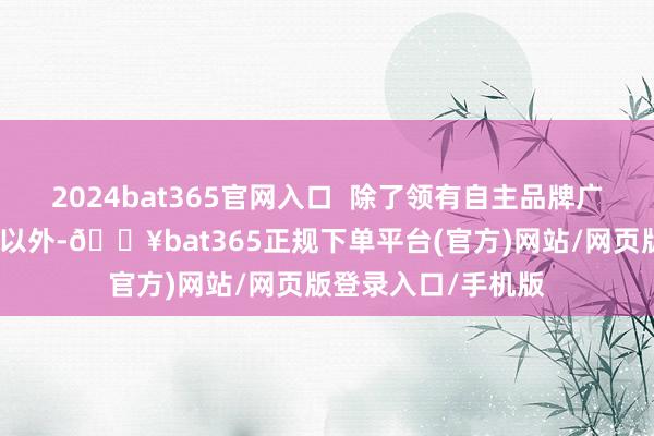 2024bat365官网入口  除了领有自主品牌广汽埃安、广汽传祺以外-🔥bat365正规下单平台(官方)网站/网页版登录入口/手机版