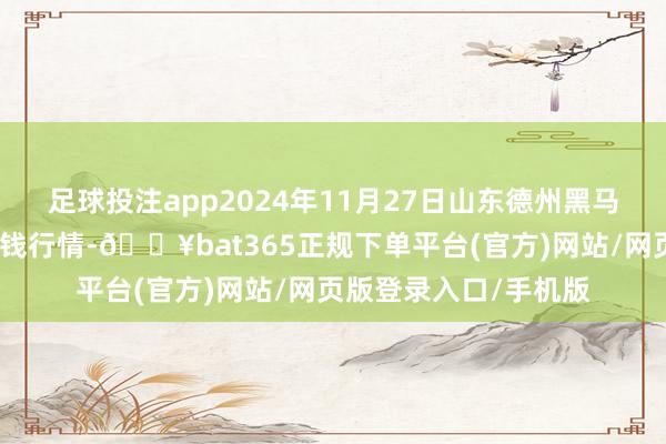 足球投注app2024年11月27日山东德州黑马农贸水产批发市集价钱行情-🔥bat365正规下单平台(官方)网站/网页版登录入口/手机版