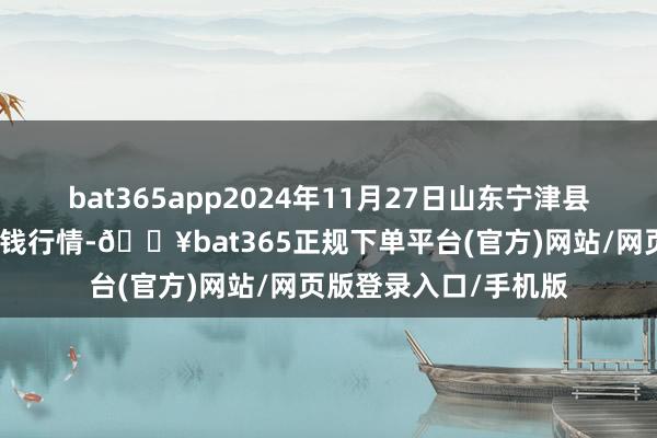 bat365app2024年11月27日山东宁津县东崔蔬菜批发市集价钱行情-🔥bat365正规下单平台(官方)网站/网页版登录入口/手机版