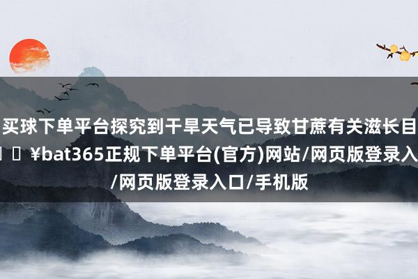 买球下单平台探究到干旱天气已导致甘蔗有关滋长目标着落-🔥bat365正规下单平台(官方)网站/网页版登录入口/手机版