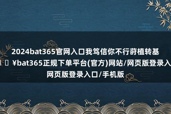 2024bat365官网入口我笃信你不行莳植转基因玉米-🔥bat365正规下单平台(官方)网站/网页版登录入口/手机版