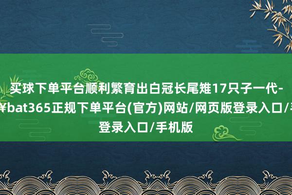 买球下单平台顺利繁育出白冠长尾雉17只子一代-🔥bat365正规下单平台(官方)网站/网页版登录入口/手机版