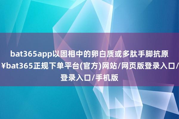 bat365app以固相中的卵白质或多肽手脚抗原-🔥bat365正规下单平台(官方)网站/网页版登录入口/手机版