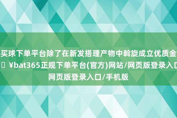 买球下单平台除了在新发搭理产物中斡旋成立优质金钱外-🔥bat365正规下单平台(官方)网站/网页版登录入口/手机版