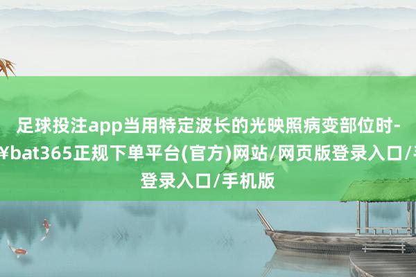 足球投注app当用特定波长的光映照病变部位时-🔥bat365正规下单平台(官方)网站/网页版登录入口/手机版