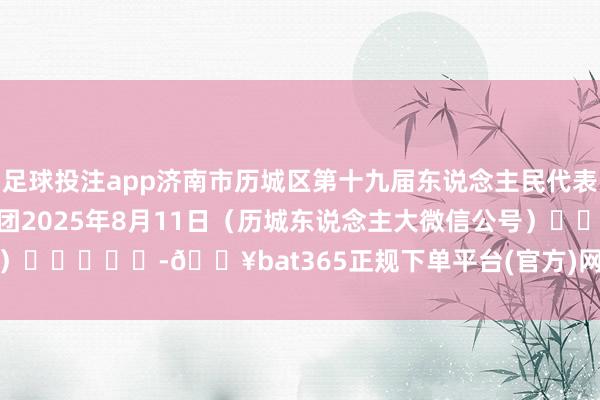 足球投注app 济南市历城区第十九届东说念主民代表大会 第五次会议主席团 2025年8月11日 (历城东说念主大微信公号) -🔥bat365正规下单平台(官方)网站/网页版登录入口/手机版